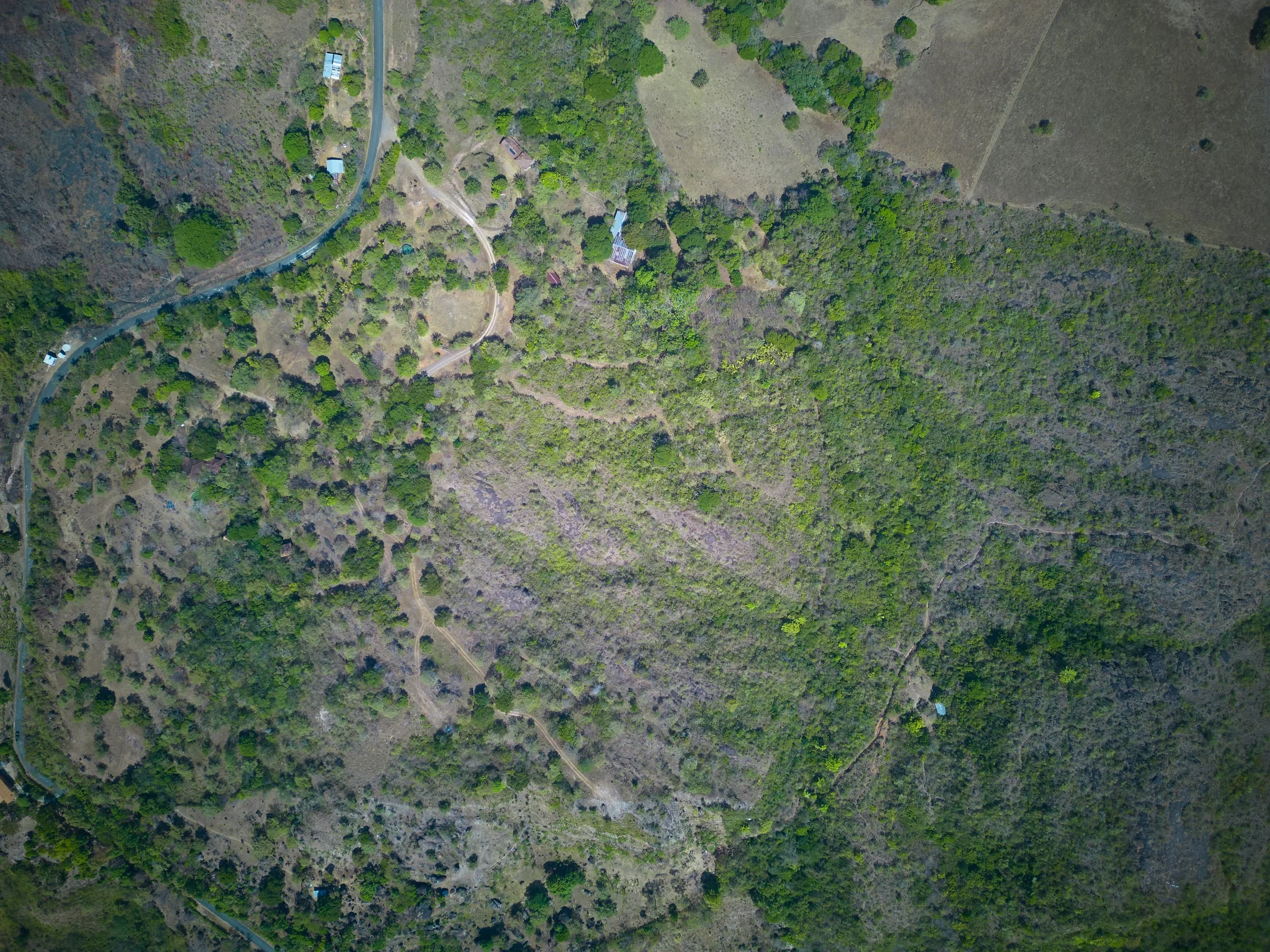 Veritas Villages — 2