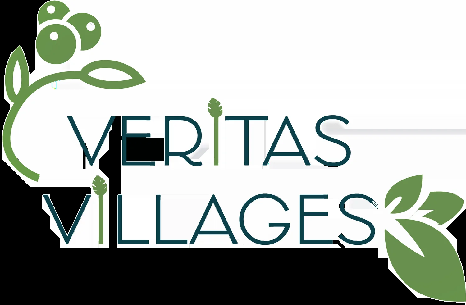 Veritas Villages logo